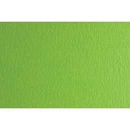 Fabriano Картон Colore, 50 x 70 cm, 140 g/m2, № 230, тревистозелен