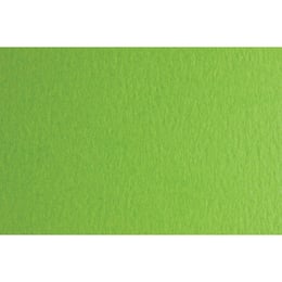 Fabriano Картон Colore, 50 x 70 cm, 140 g/m2, № 230, тревистозелен