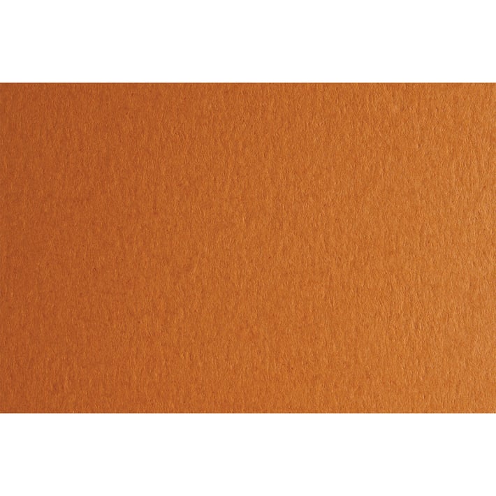 Fabriano Картон Colore, 70 x 100 cm, 140 g/m2, № 223, светлокафяв