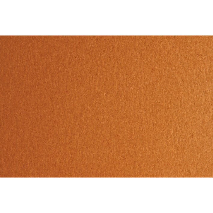 Fabriano Картон Colore, 70 x 100 cm, 140 g/m2, № 223, светлокафяв