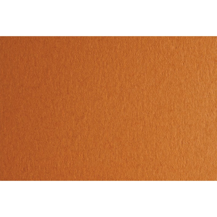 Fabriano Картон Colore, 50 x 70 cm, 140 g/m2, № 223, светлокафяв