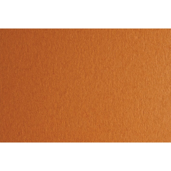 Fabriano Картон Colore, 50 x 70 cm, 140 g/m2, № 223, светлокафяв