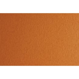 Fabriano Картон Colore, 50 x 70 cm, 140 g/m2, № 223, светлокафяв