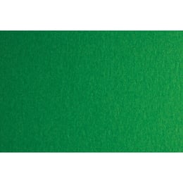 Fabriano Картон Colore, 50 x 70 cm, 140 g/m2, № 231, зелен