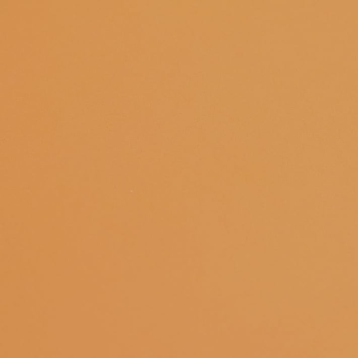 Fabriano Картон Colore, 70 x 100 cm, 200 g/m2, № 223, светлокафяв
