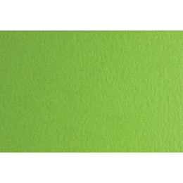 Fabriano Картон Colore, 50 x 70 cm, 200 g/m2, № 230, тревистозелен