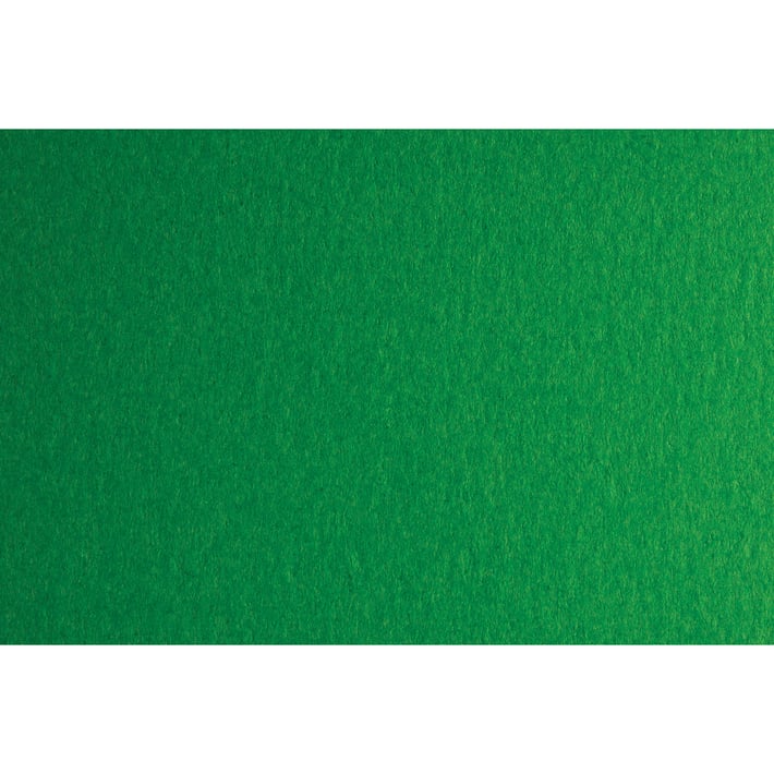 Fabriano Картон Colore, 50 x 70 cm, 200 g/m2, № 231, зелен