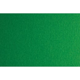 Fabriano Картон Colore, 50 x 70 cm, 200 g/m2, № 231, зелен