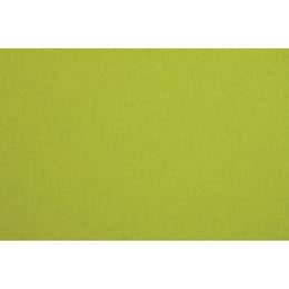 Fabriano Картон Colore, 50 x 70 cm, 200 g/m2, № 252, лайм