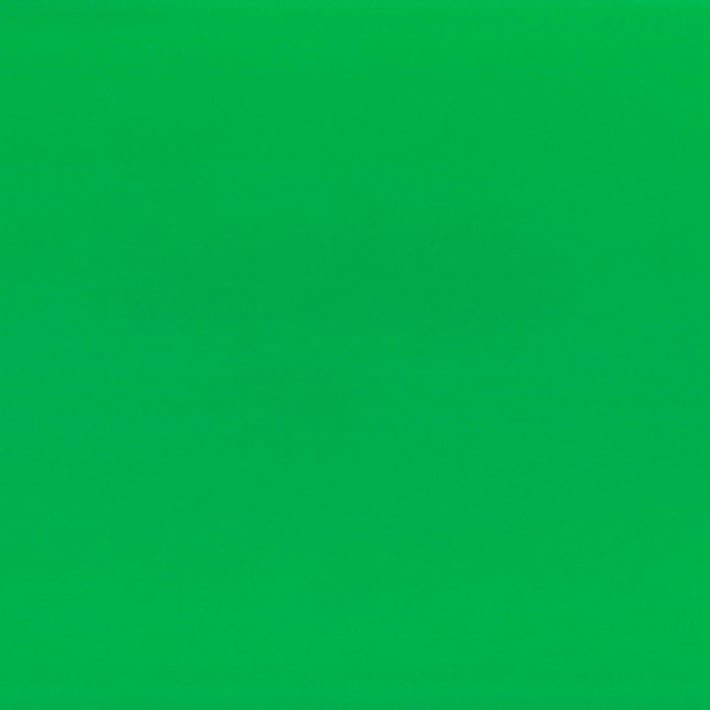 Fabriano Картон Elle Erre, 50 x 70 cm, 220 g/m2, № 111, зелен