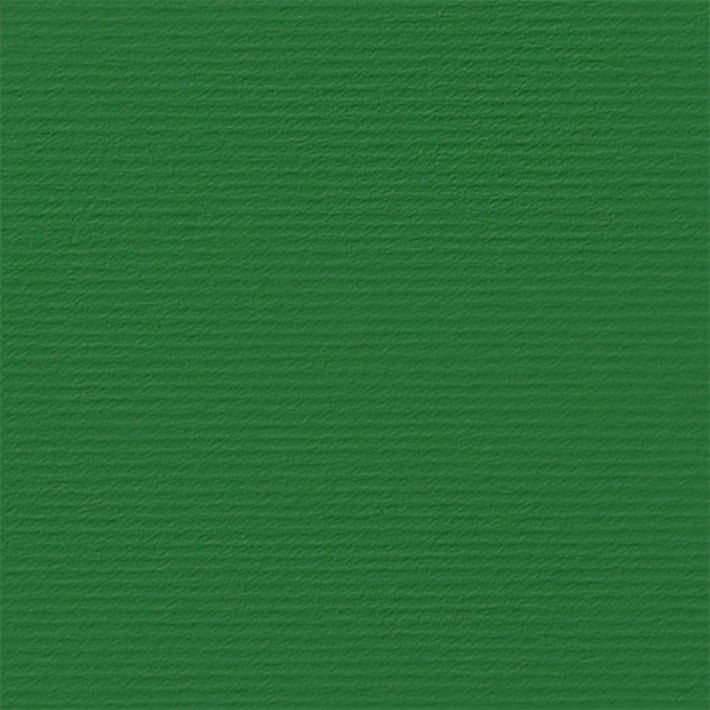 Fabriano Картон Elle Erre, 70 x 100 cm, 220 g/m2, № 111, зелен