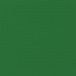 Fabriano Картон Elle Erre, 70 x 100 cm, 220 g/m2, № 111, зелен