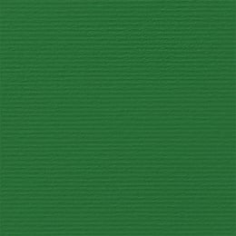 Fabriano Картон Elle Erre, 70 x 100 cm, 220 g/m2, № 111, зелен