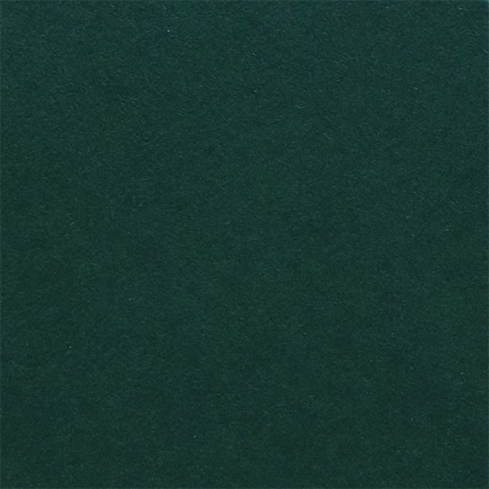Fabriano Картон Elle Erre, 70 x 100 cm, 220 g/m2, № 128, тъмнозелен