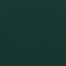 Fabriano Картон Elle Erre, 70 x 100 cm, 220 g/m2, № 128, тъмнозелен
