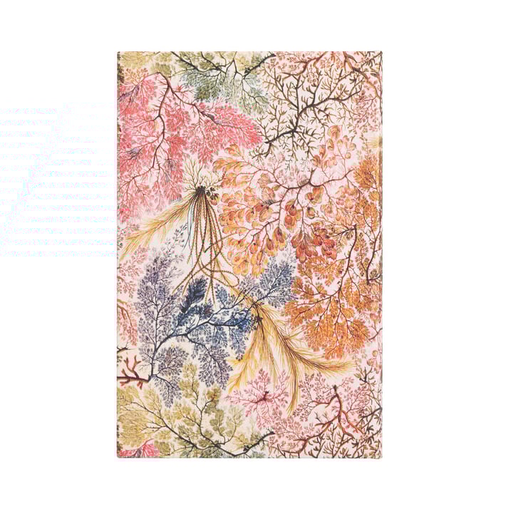 Paperblanks Планер Anemone, Midi, вертикален, твърда корица, 80 листа, за 2025 година