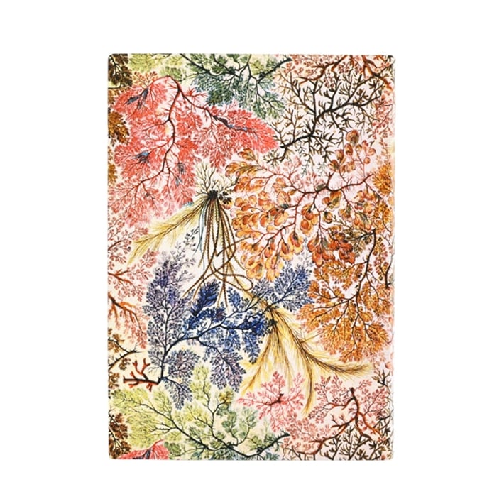 Paperblanks Тефтер Anemone, Midi, мека корица, 88 листа