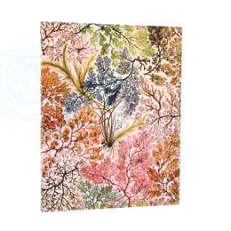Paperblanks Тефтер Anemone, Ultra, широки редове, мека корица, 88 листа