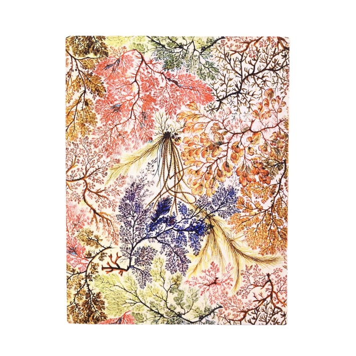 Paperblanks Тефтер Anemone, Ultra, широки редове, мека корица, 88 листа