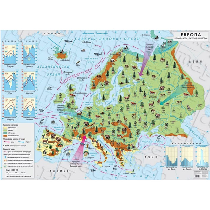 Стенна карта на Европа – климат, води, растения и животни, 140 x 100 cm