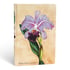 Paperblanks Тефтер Brazilian Orchid, Mini, 88 листа