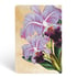 Paperblanks Тефтер Brazilian Orchid, Mini, 88 листа