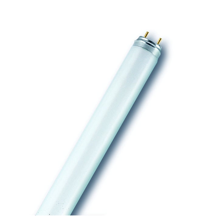 Osram Лампа G13, луминeсцентна, 36W, 60 cm