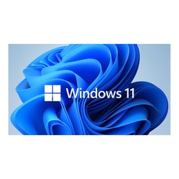 Windows 11 Home 64 Bit, English, OEM, DVD