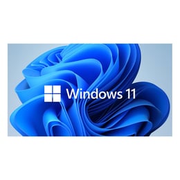 Windows 11 Pro 64 Bit, English, OEM, DVD
