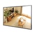 Hikvision Информационен дисплей DS-D6032FN-DP, 32''