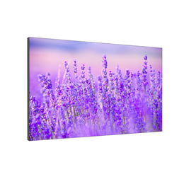 Hikvision Видеостена DS-D4009BW-2FC, P0.9, LED, 4K, 360 х 203 cm