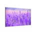 Hikvision Видеостена DS-D4009BW-2FC, P0.9, LED, 4K, 360 х 203 cm