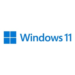 Microsoft Windows 11 Pro, DSP, DVD, English, 64 bit