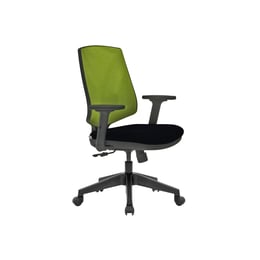 RFG Работен стол Joy 060 W, зелена облегалка, черна седалка