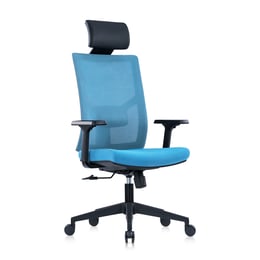 RFG Директорски стол Snow Black HB, светлосиня седалка, светлосиня облегалка