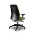 Interstuhl Ергономичен стол Every EV116, зелен