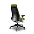 Interstuhl Ергономичен стол Every EV117, зелен