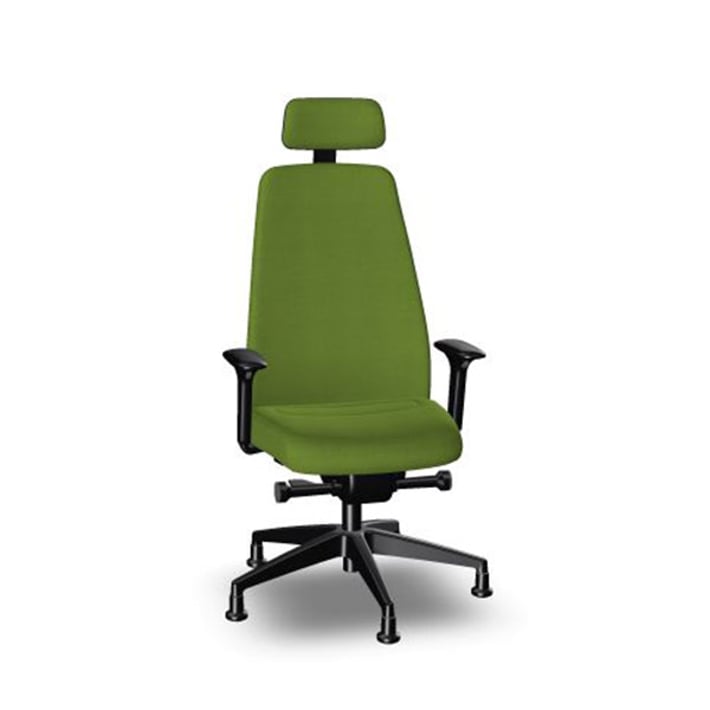 Interstuhl Ергономичен стол Every EV119, зелен