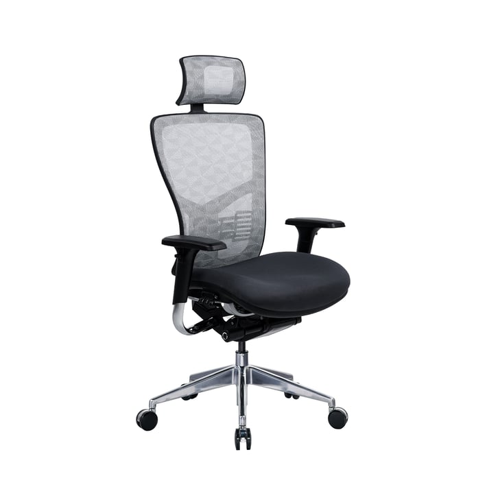 RFG Ергономичен стол TECH@PRO, черна седалка, бяло-черна облегалка