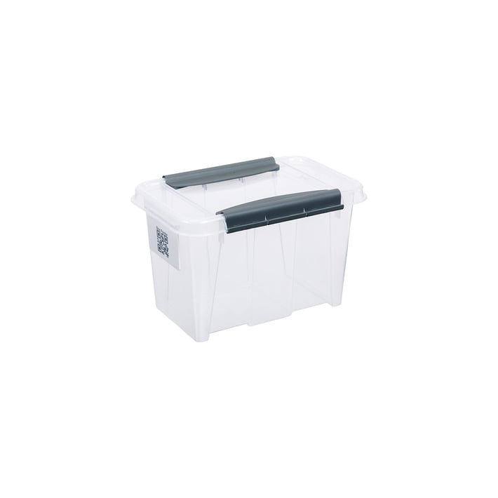 Кутия за съхранение Pro Box, 195 x 290 x 185 mm, 6 L