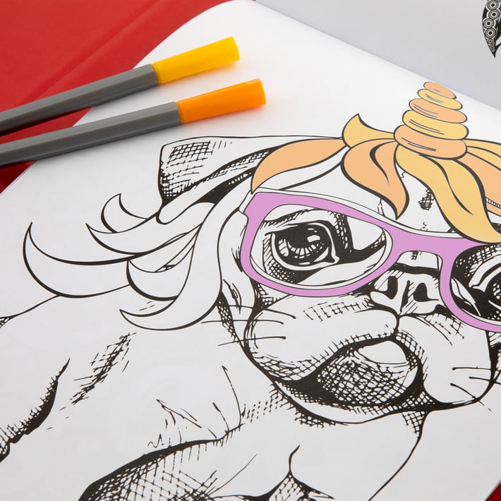 Grafix Книжка за оцветяване Куче, с флумастери, в папка