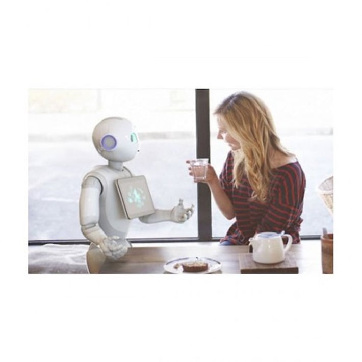 Pepper Робот за програмиране, академичен, 2 години гаранция