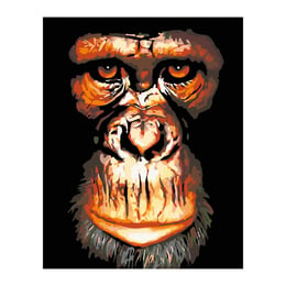 Foska Комплект рисуване по номера Шимпанзе, 40 x 50 cm