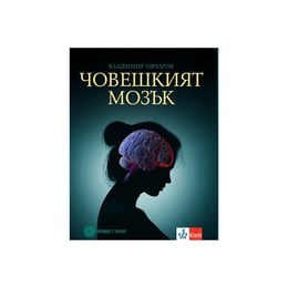 Книга по биология и здравно образование - Човешкият мозък, Булвест 2000