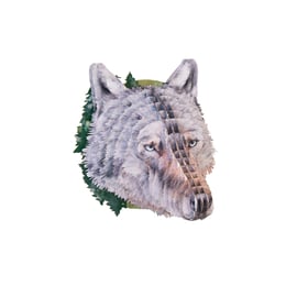 Gespaensterwald 3D глава на вълк