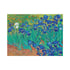 Paperblanks Пъзел Van Goghs Irises, 1000 части