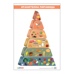 Cubos Ученическо табло ''Хранителна пирамида'', 70 x 100 cm