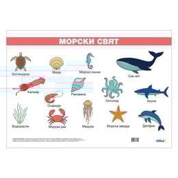 Office 1 Ученическо табло ''Морски свят'', ламинирано, 50 x 70 cm, модел 1
