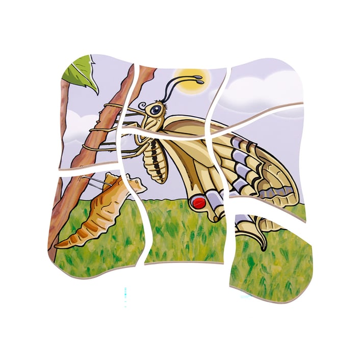 Beleduc Пъзел Жизнен цикъл на пеперуда, на слоеве, дървен