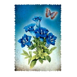 Gespaensterwald Картичка, Romantique, цвете
